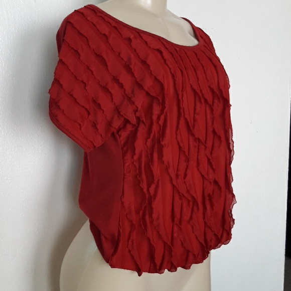 SALE💥$6 Annabelle Petites: Top - Picture 2 of 5